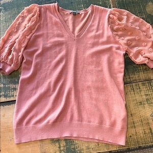 Adrianna Papell Pink Sweater with Sheer Floral Sleeves